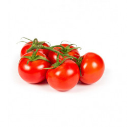 Tomate Cherry Llobulillar